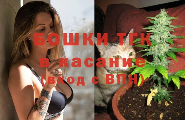 гидра Горнозаводск