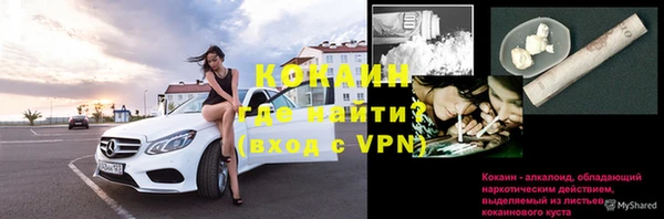 индика Вяземский