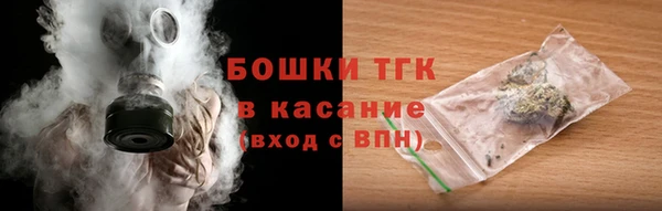 гидра Горнозаводск