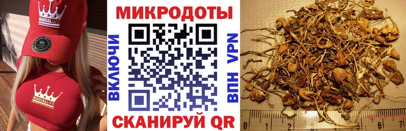 мега рабочий сайт  купить закладку  Чусовой  Галлюциногенные грибы MAGIC MUSHROOMS 