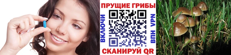 Галлюциногенные грибы Psilocybine cubensis Чусовой